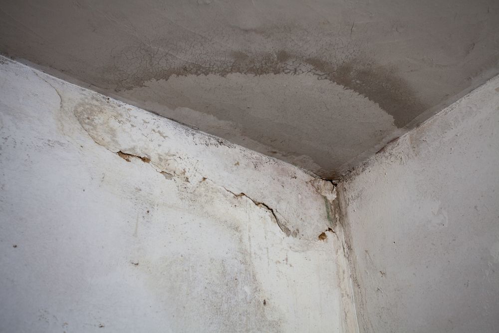 Vochtplekken en schimmel op een plafond door daklekkage